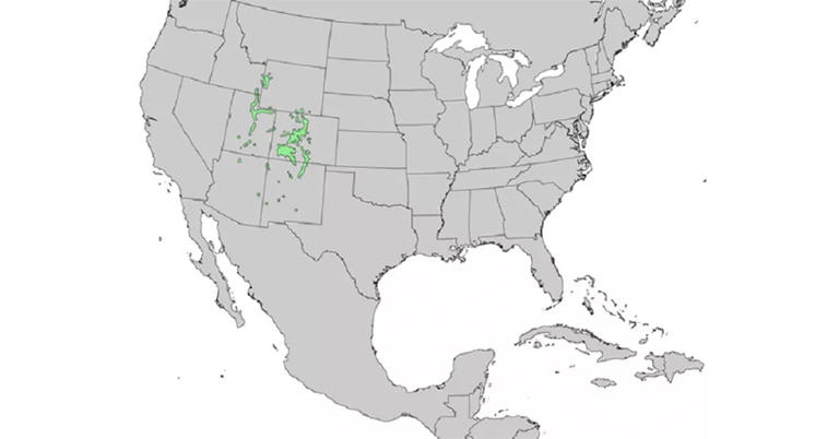 仿真樹.jpg 仿真樹