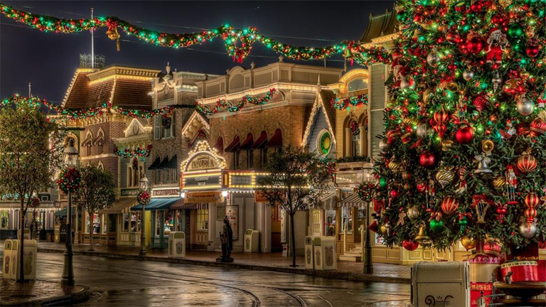 圣誕樹.jpg 圣誕樹