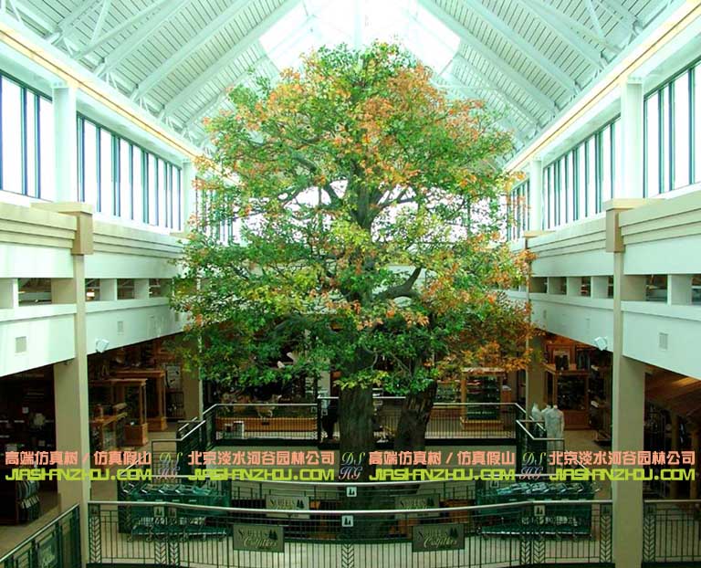 tcp假樹考察.jpg tcp假樹考察