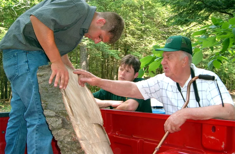 仿真樹.jpg 仿真樹