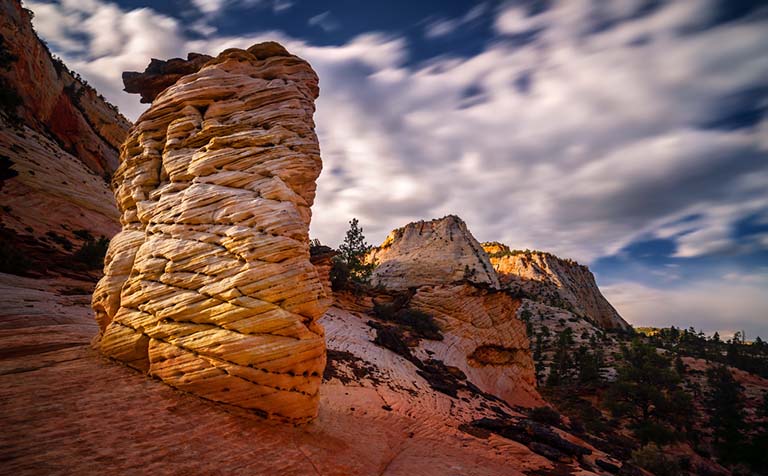 TCP假山制作.jpg TCP假山制作