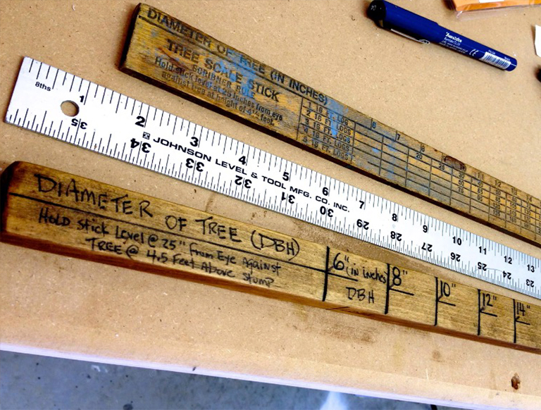 一棵樹的直徑在巡洋艦棍子上.jpg 一棵樹的直徑在巡洋艦棍子上