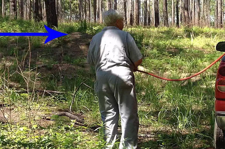 土壤樹的應(yīng)用.jpg 土壤樹的應(yīng)用