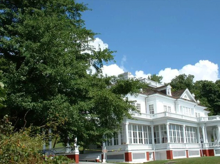 摩西錐銀杏.jpg 摩西錐銀杏