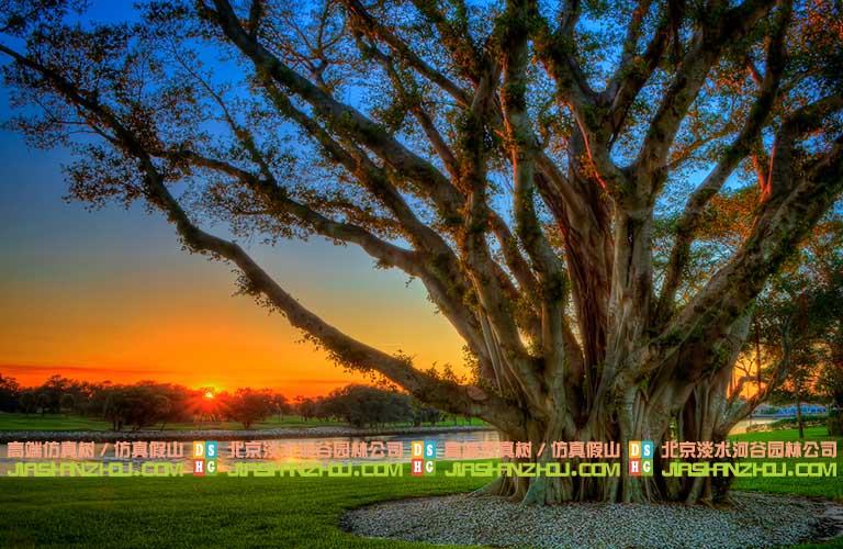 室外假樹.jpg 室外假樹