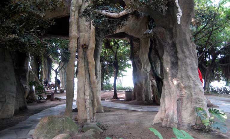 室外假樹.jpg 室外假樹