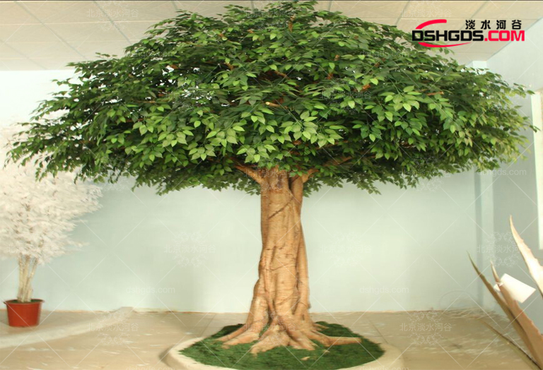 假樹.jpg 假樹