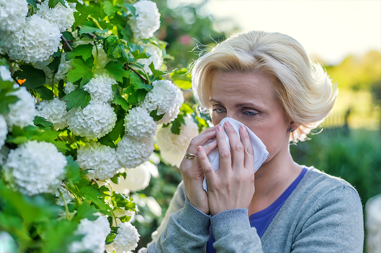 花粉過敏.jpg 花粉過敏