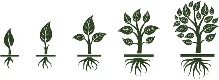 樹形結(jié)構(gòu).jpg 樹形結(jié)構(gòu)