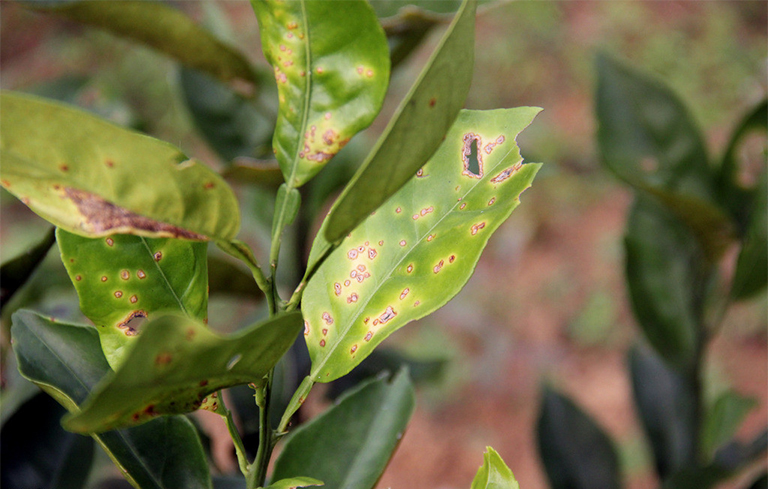 1588818203965320.jpg 33.jpg