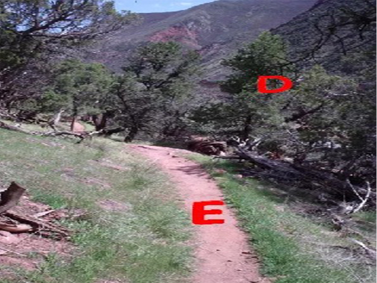 風暴國王山紀念步道.jpg 風暴國王山紀念步道