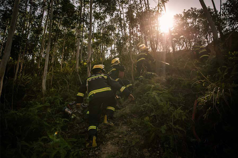 控制森林火災.jpg 控制森林火災