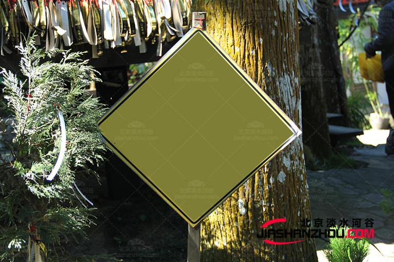 仿真樹(shù).jpg 仿真樹(shù)