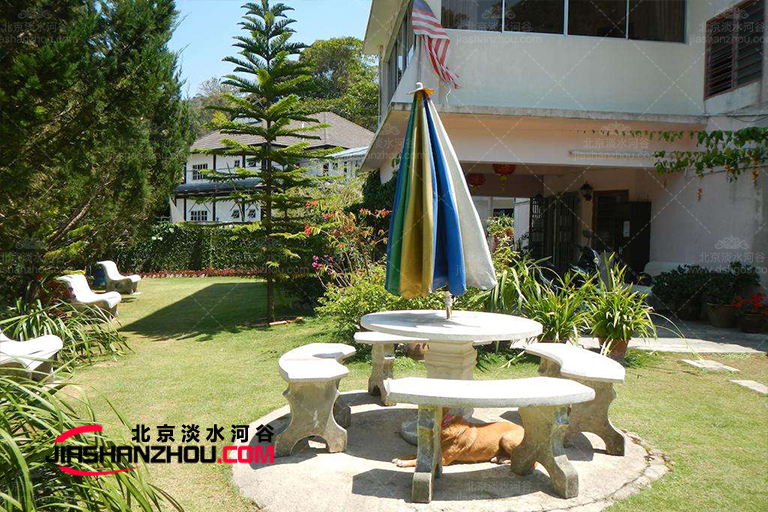 仿真樹(shù).jpg 仿真樹(shù)