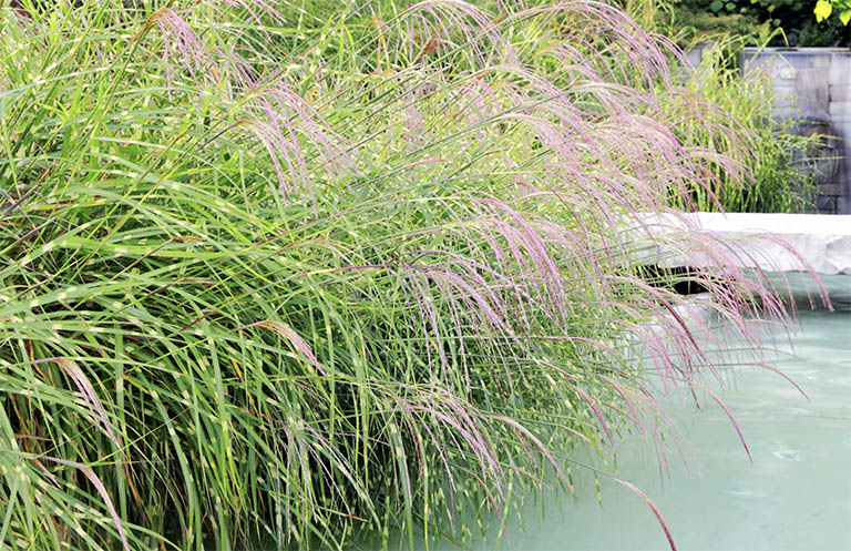 千層石景觀.jpg 千層石景觀