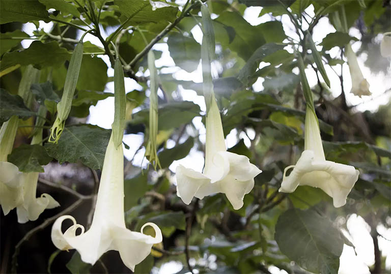 千層石景觀.jpg 千層石景觀