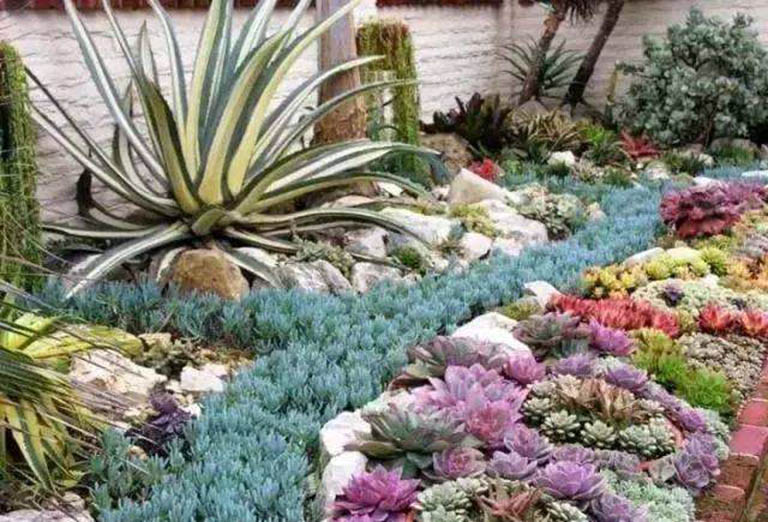 千層石景觀.jpeg 千層石景觀