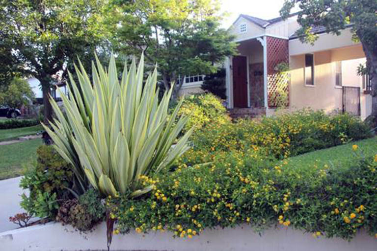 千層石景觀.jpg 千層石景觀