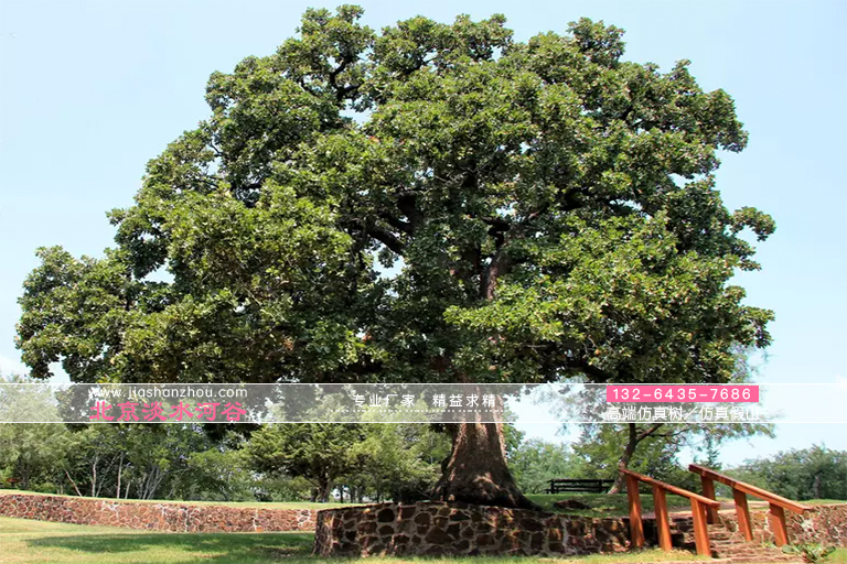 仿真樹jpg 仿真樹