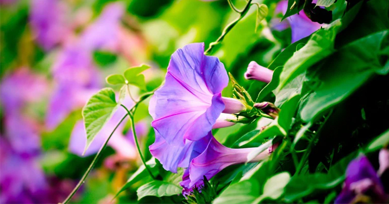 牽?；?/></p><p><span style=