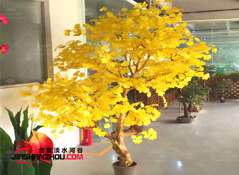 仿真樹.jpg 仿真樹