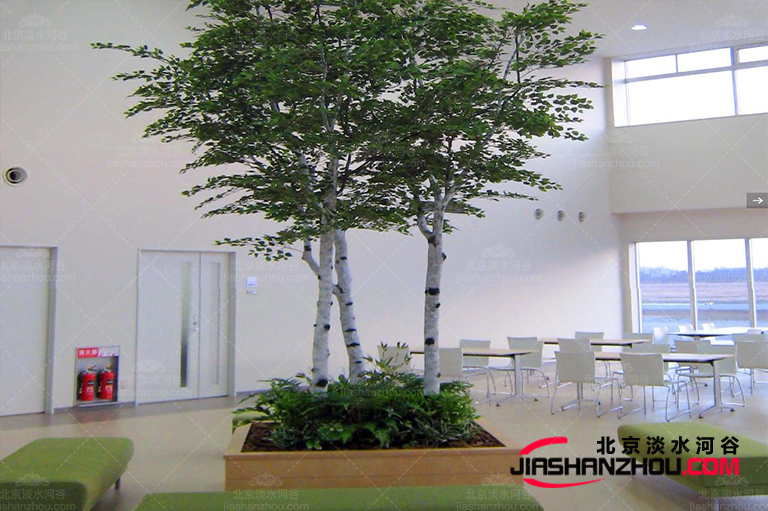 仿真樹.jpg 仿真樹