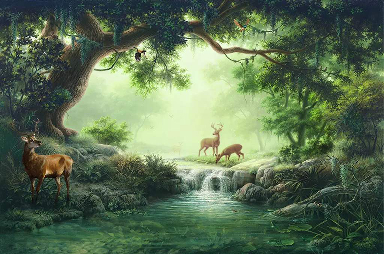 林地狩獵租賃.jpg 林地狩獵租賃