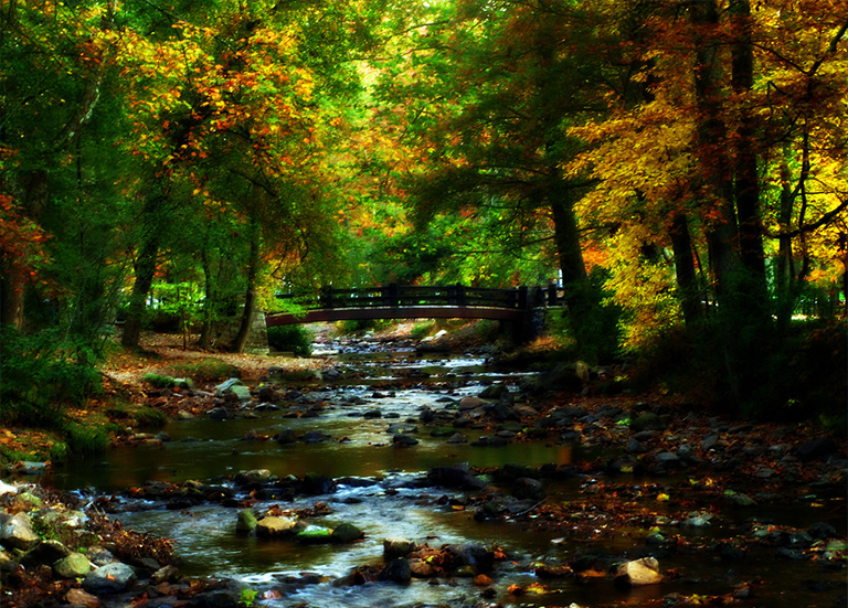 自養生物.jpg 自養生物