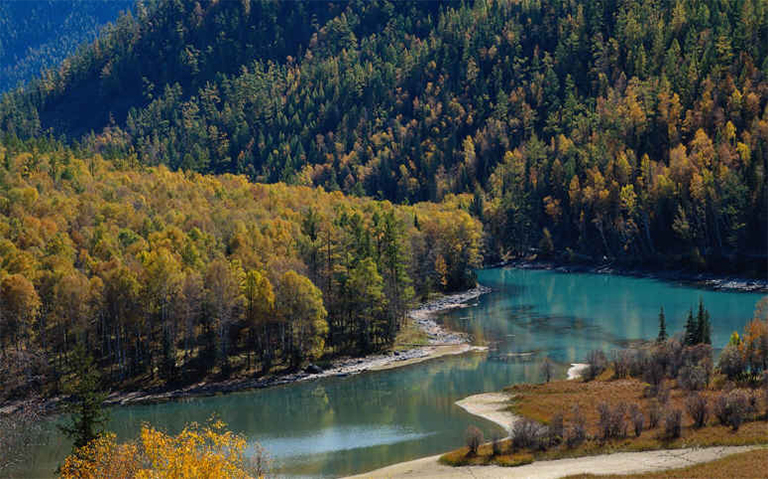 主要演替.jpg 主要演替