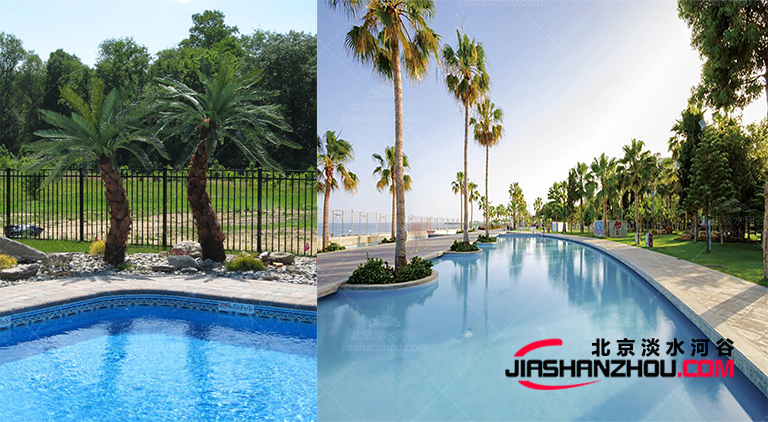 仿真樹.jpg 仿真樹