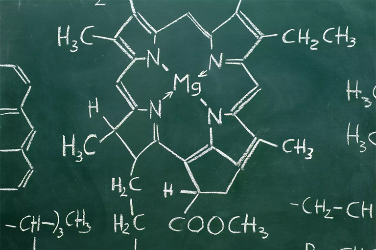 鎂是葉綠素分子的核心.jpg 鎂是葉綠素分子的核心