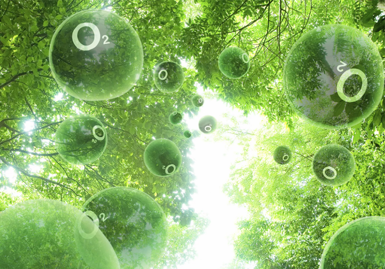 光合作用使地球變得宜居.jpg 光合作用使地球變得宜居