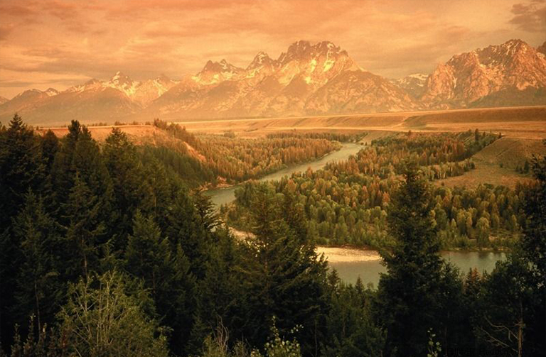 加拿大的森林砍伐.jpg 加拿大的森林砍伐