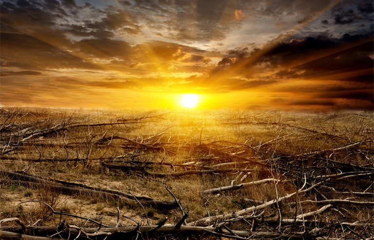 森林砍伐.jpg 森林砍伐