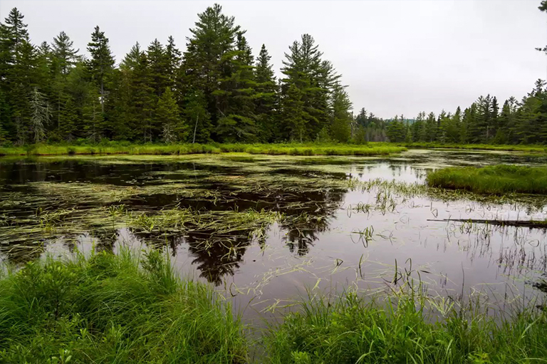 緬因州阿卡迪亞文化.jpg 緬因州阿卡迪亞文化