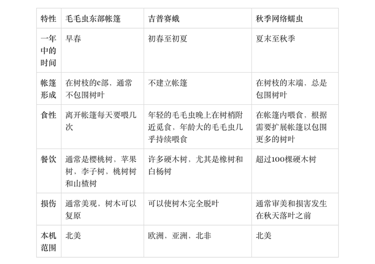 毛毛蟲.jpg 毛毛蟲