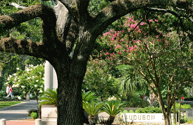 一條路徑的照片在水體附近的在背景中的歷史協會大樓前