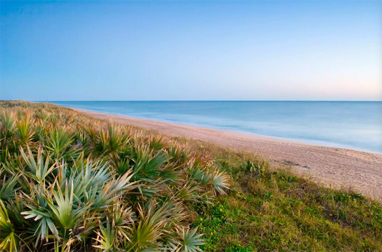 卡納維爾海濱背景.jpg 卡納維爾海濱背景