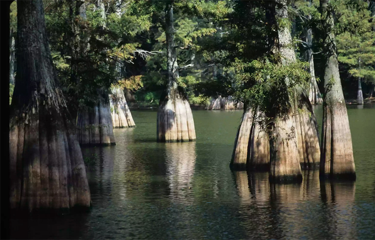 大灌木國家保護區.jpg 大灌木國家保護區