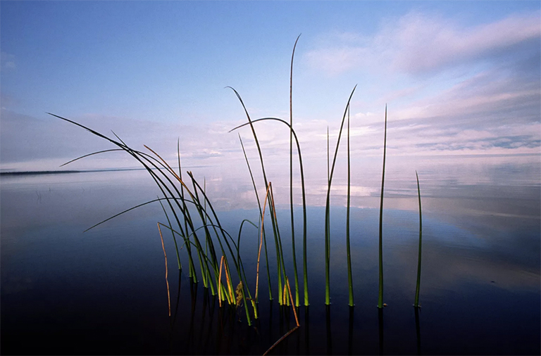 明尼蘇達州北部紅湖上游,夏末.jpg 明尼蘇達州北部紅湖上游,夏末
