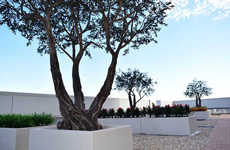 仿真樹(shù)設(shè)計(jì)制作