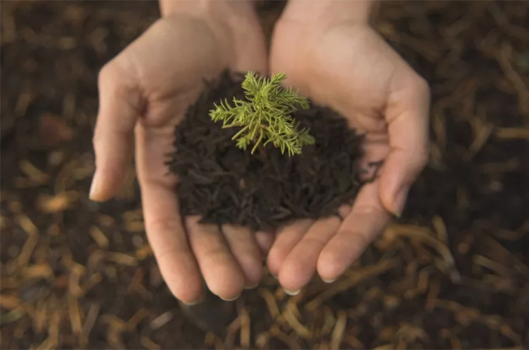 地球日.jpg 地球日