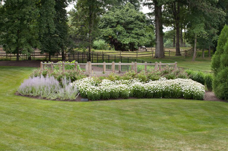 花園蔬菜.jpg 花園蔬菜