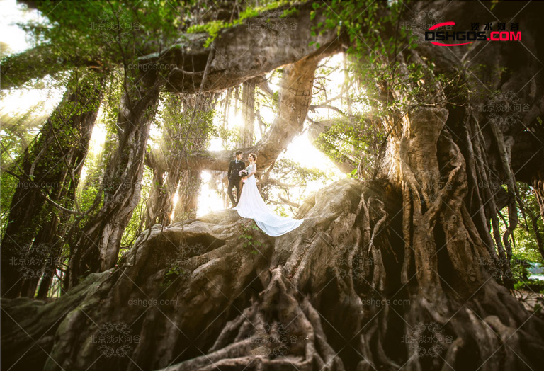 室內大型仿真景觀樹.jpg 室內大型仿真景觀樹