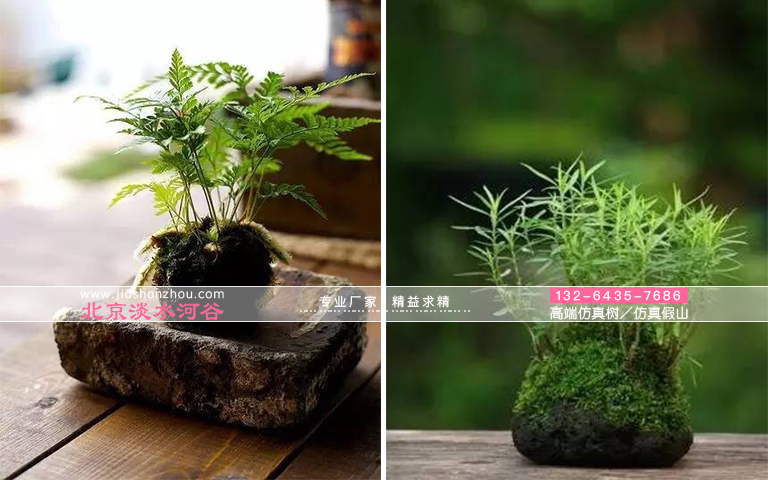 仿真樹.jpg 仿真樹