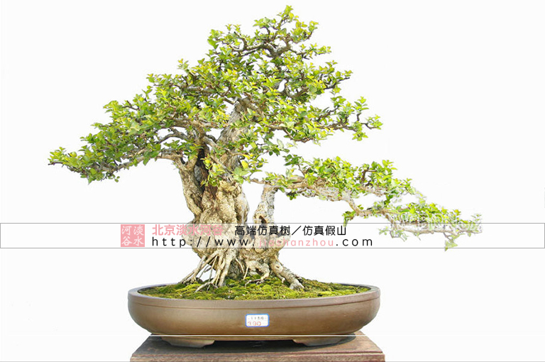 仿真樹.jpg 仿真樹