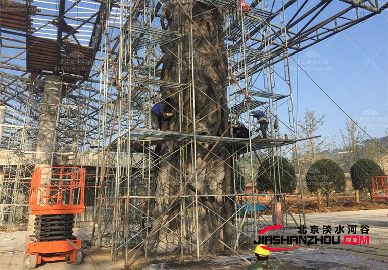 仿真樹(shù).jpg 仿真樹(shù)