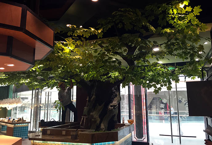 水泥樹包柱子.jpg 水泥樹包柱子