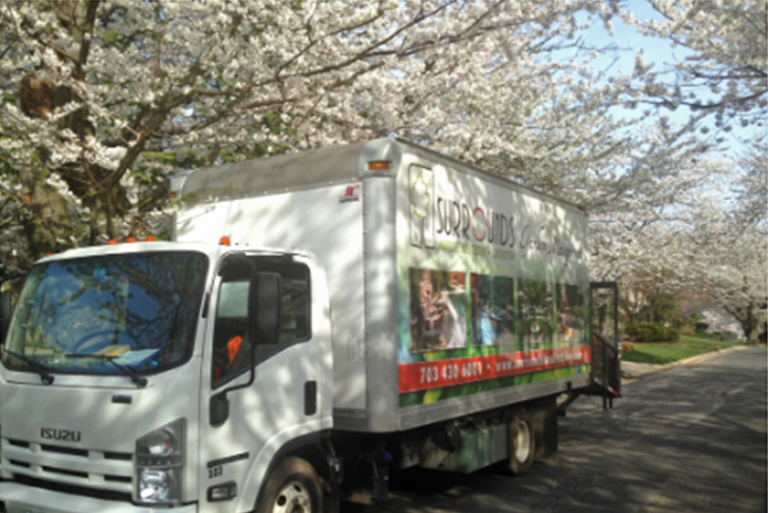 開花的樹木.jpg 開花的樹木