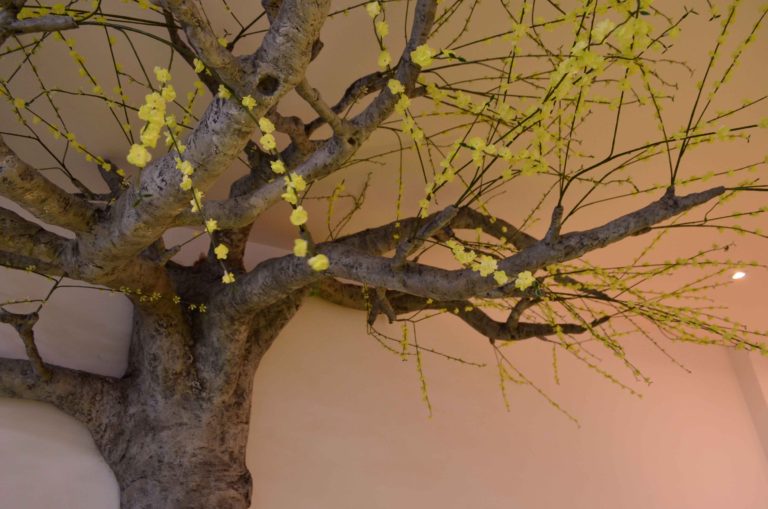 仿真樹.jpg 仿真樹